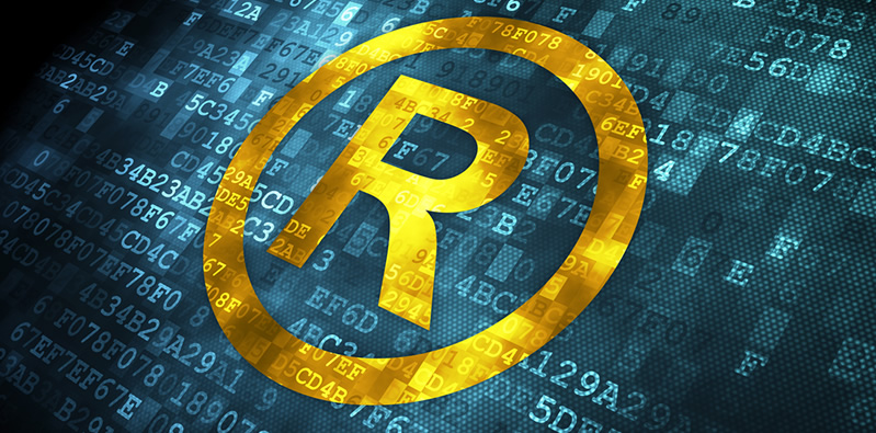 Intellectual Property 