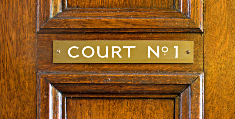 Litigation